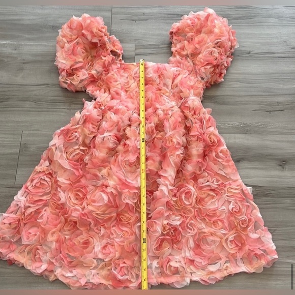 CES FEMME Dress Lace Ruffles Tule With Puff Sleeves Pink Size S - Picture 6 of 16